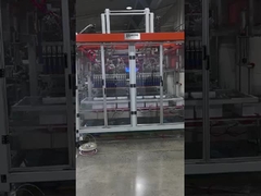 6 सिर ऑटोमैटिक कार्टन बॉक्स पैकिंग मशीन, 25 बॉक्स/मिन