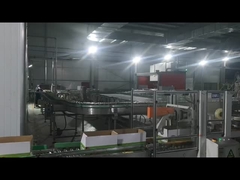 कार्टन सीलिंग मशीन, रोबोट पैलेटिंग मशीन