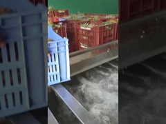 बुलबुला प्रकार फल/सब्जी धोने की मशीन, उत्पादन क्षमता अनुकूलित किया जा सकता है